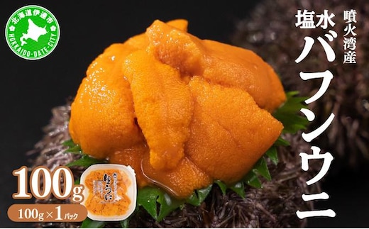 北海道 噴火湾産 塩水 バフンウニ 100g 1パック うに ウニ 雲丹 海鮮 海の幸 魚介類 ウニ丼 お寿司 濃厚 無添加 産地直送 産直 お取り寄せ 山村水産 送料無料【55250661】
