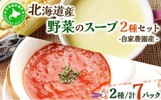 北海道伊達産野菜のスープ2種セット 【農福連携】【55250572】