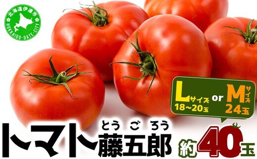 【2026年 発送 】 先行予約 北海道 伊達 トマト 藤五郎 約 40 玉 M ～ L サイズ とまと 新鮮 ジューシー 産地直送 55250526