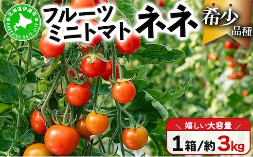 【2026年先行予約】北海道産 ミニトマト ネネ 約3kg フルーツトマト プチトマト 甘い 濃厚 彩り 鮮やか 希少 お中元 お歳暮 暑中見舞い 帰省土産 ご自宅用 産地直送 大滝農園 送料無料 北海道［55250524］