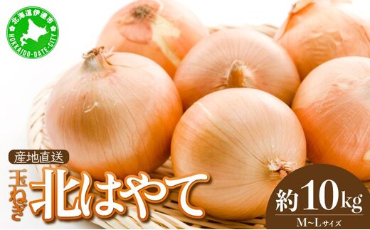 【 2026年 発送 】 先行予約 北海道 玉ねぎ 10kg M-L混合 北はやて【55250515】タマネギ たまねぎ 玉葱 玉ネギ オニオン 伊達野菜 野菜 新鮮 採れたて 産地直送 サラダ マリネ 肉じゃが オニオンスープ 木須農園 送料無料