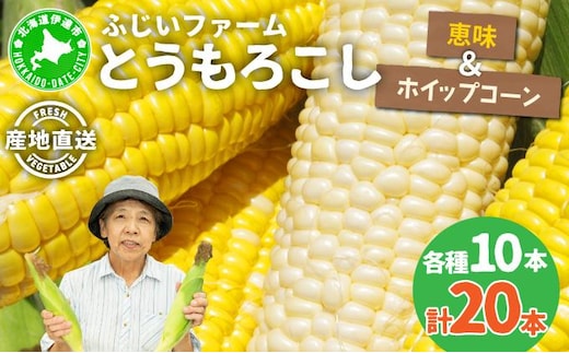 ＜先行予約＞北海道産 とうもろこし(恵味/ホイップコーン) 計20本【55250487】 トウモロコシ とうきび イエロー ホワイト コーン スイートコーン 旬 野菜 ふじいファーム