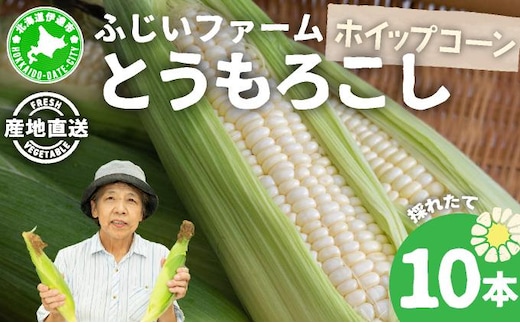 ＜先行予約＞北海道産 とうもろこし(ホイップコーン) Lサイズ 10本 【55250483】ホワイト トウモロコシ とうきび コーン スイートコーン 国産 野菜 人気 ふじいファーム
