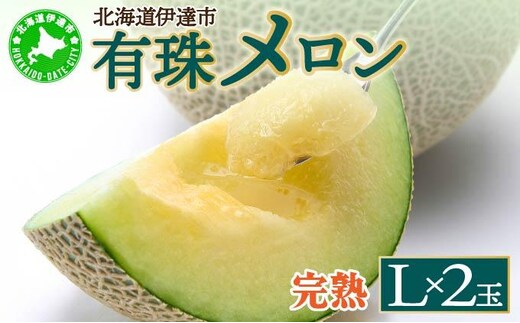 【2026年先行予約】北海道産 有珠メロン 2玉 セット 青肉 Lサイズ 1.6kg以上×2玉 ツル付き グリーンメロン 果物 めろん フルーツ くだもの 完熟 旬 ご褒美 ギフト お祝い 産地直送 お取り寄せ 北海道 藤川農園 送料無料 伊達 [55250476]