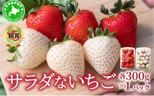＜2026年先行予約＞ サラダないちご（赤・白）ご褒美 苺 最旬 贈答 ギフト プレゼント 果物 フルーツ イチゴ 北海道 伊達【ecg-003】