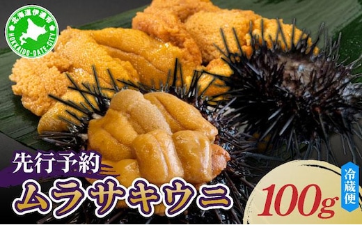 ＜先行予約＞ 北海道産 ムラサキウニ（正規品）【ogm-027】うに 海鮮 国産 北海道 伊達 ふるさと納税