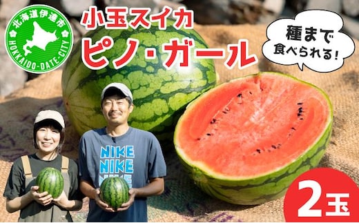 ＜先行予約＞北海道伊達産 小玉スイカ 