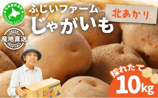 ＜先行予約＞北海道産 じゃがいも(北あかり) 約10kg【hjf-006】ジャガイモ 馬鈴薯 ポテト 芋 イモ きたあかり キタアカリ 野菜 人気 ふじいファーム