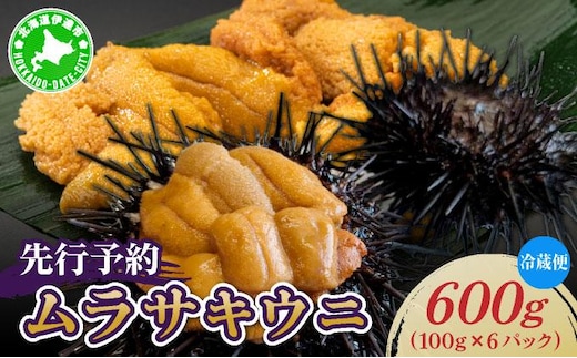 ＜先行予約＞ 北海道産 ムラサキウニ（正規品）600g【ogm-035】生うに 塩水うに ミョウバン不使用 海鮮 国産 北海道 伊達 ふるさと納税