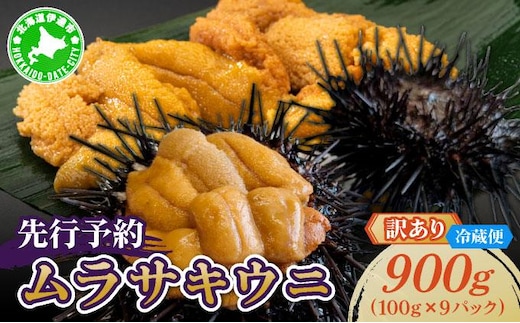 ＜先行予約＞ 北海道産 ムラサキウニ（訳あり）900g【ogm-047】生うに 塩水うに ミョウバン不使用 海鮮 訳あり 国産 北海道 伊達 ふるさと納税