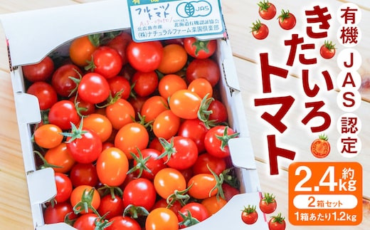 有機JAS認定 「きたいろトマト」 1.2kg×2箱 (2.4kg)【2026年7月下旬~9月下旬迄発送予定】 トマト とまと 食べ頃 野菜 やさい 有機 北海道