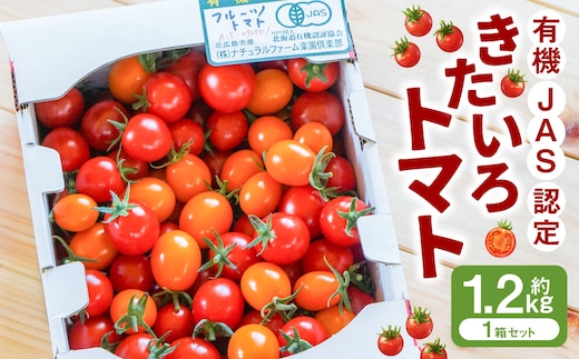 有機JAS認定「きたいろトマト」〈1.2kg×1箱〉【2026年7月下旬~9月下旬迄発送予定】 北海道北広島市