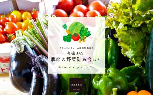 【有機JAS認定】【3ヶ月隔月定期便】 季節の野菜詰め合わせ ~有機野菜セットB~ 15種類~18種類 季節 野菜 野菜セット 有機野菜 有機 詰め合わせ セット