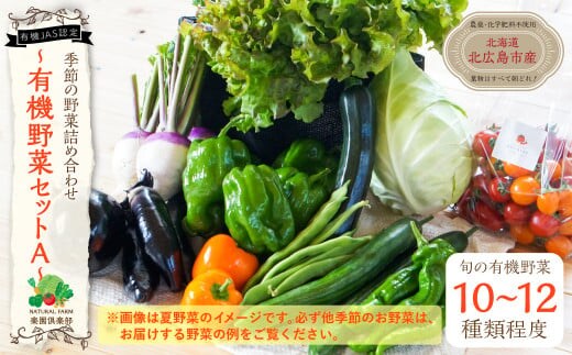 【有機JAS認定】季節の野菜 詰め合わせ 10種類~12種類程度 有機野菜セットA 北海道北広島市