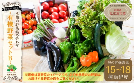 【有機JAS認定】季節の野菜 詰め合わせ 15種類~18種類程度 ~有機野菜セットB~ 北海道北広島市