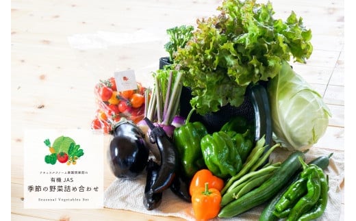 【有機JAS認定】【6ヶ月隔月定期便】 季節の野菜詰め合わせ ~有機野菜セットA~ 10種類~12種類 季節 野菜 野菜セット 有機野菜 有機 詰め合わせ セット