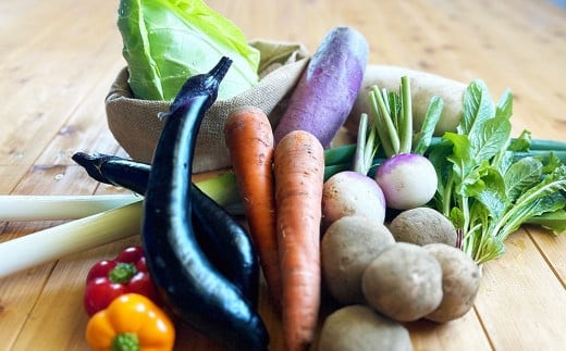 【有機JAS認定】【4ヶ月隔月定期便】季節の野菜詰め合わせ ~有機野菜セットC~ 7種類~8種類 季節 野菜 野菜セット 有機野菜 有機 詰め合わせ セット