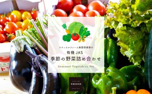 【有機JAS認定】【2ヶ月隔月定期便】 季節の野菜詰め合わせ ~有機野菜セットB~ 15種類~18種類 季節 野菜 野菜セット 有機野菜 有機 詰め合わせ セット