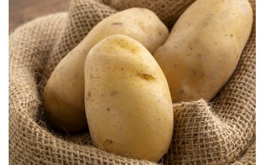 じゃがいも(メークイン) 約10kg 【2025年9月上旬~2026年1月下旬発送】 じゃがいも ジャガイモ メークイン 野菜 北海道 北広島市