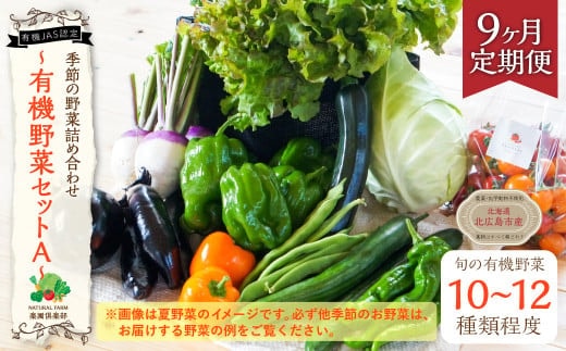 【有機JAS認定】【9ヶ月定期便】 季節の野菜詰め合わせ ~有機野菜セットA~