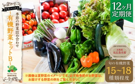 【12ヶ月定期便】有機JAS認定 季節の野菜 詰め合わせ~有機野菜セットB~ 北海道北広島市