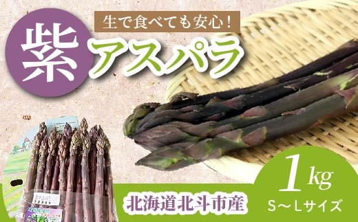 【JAS認定有機紫アスパラ】S～Lサイズ紙箱入<1kg> HOKB001