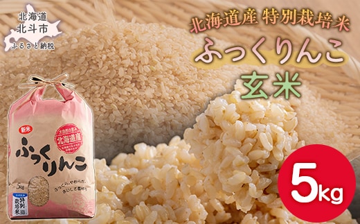 【令和7年産米】ふっくりんこ5kg（玄米） HOKY005