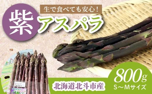 【JAS認定有機紫アスパラ】S～Mサイズ紙箱入〈800g〉 HOKB003