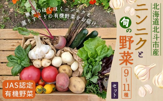 【JAS認定有機野菜】北斗市産 ニンニクと野菜9～11種類野菜セット 紙箱入(季節で種類が変更) HOKB024