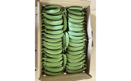 北海道産 スナップえんどう 1kg HOKBC001