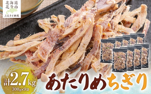 あたりめちぎり300g×9セット HOKAG059