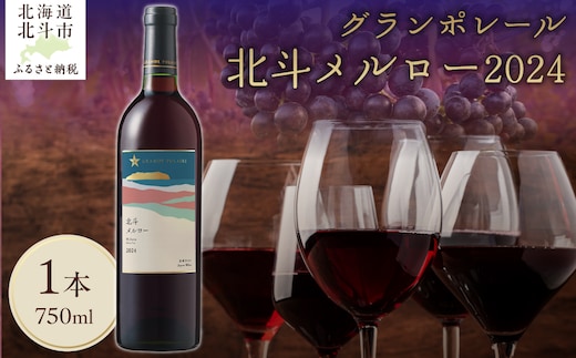 【数量限定】グランポレール 北斗メルロー2024 750ml 1本 HOKJ013
