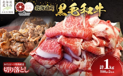 北海道産 黒毛和牛 おぐにビーフ 牧場直送 切り落とし 500g×2 HOKQ003