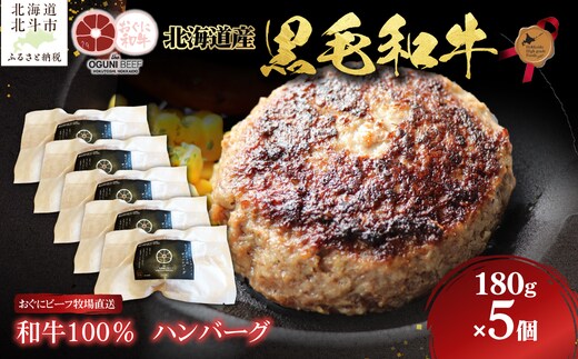 北海道産 黒毛和牛 おぐにビーフ 牧場直送 和牛100％ ハンバーグ180g×5 HOKQ006