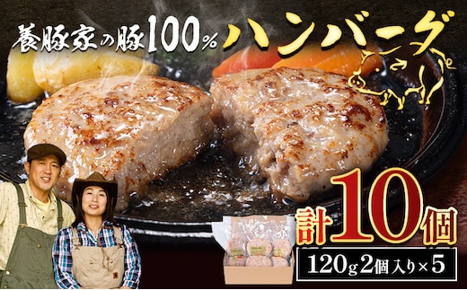 [0.95-307] 養豚家の豚100％ハンバーグセット 120g2枚入りパック×５セット計１０枚 豚肉 肉 厳選 国産 厳選 お取り寄せ グルメ おかず おすすめ スマイル ポーク 加工品 惣菜 簡単 冷凍 キャンプ BBQ 浅野農場