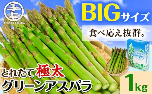 【1.6-69】【2026年先行】とれたて極太グリーンアスパラ1kg
