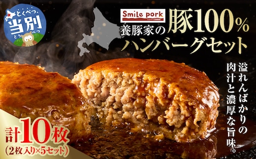 養豚家の豚100％ハンバーグセット 120g2枚入りパック×５セット計１０枚 豚肉 肉 厳選 国産 厳選 お取り寄せ グルメ おかず おすすめ スマイル ポーク 加工品 惣菜 簡単 冷凍 キャンプ BBQ 浅野農場_tb02-018