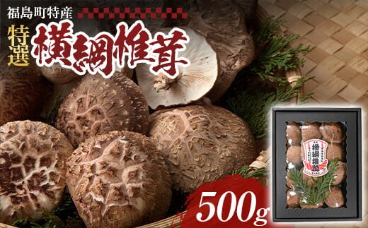 福島町特産・特選「横綱椎茸」500g FKG001