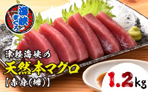 【2026年8月下旬以降順次発送】福島町水揚げ本マグロ「海峡まぐろ」赤身(1.2kg) FKO002