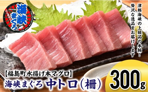 【2027年1月以降順次発送】北海道福島町 水揚げ 本マグロ 「海峡まぐろ」 中トロ 300g FKO010