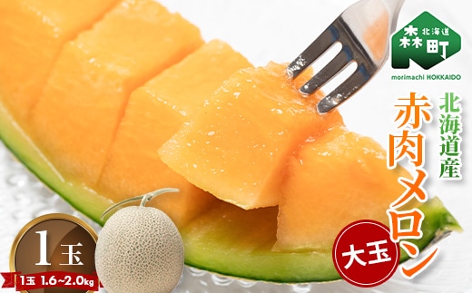 【先行予約】北海道森町産赤肉メロン大玉 1玉（約1.6～2kg）（2026年6月上旬～8月上旬頃に順次お届け）＜道産ネットミツハシ＞ 森町 メロン 果物 赤肉 北海道産 ふるさと納税 北海道 mr1-0815