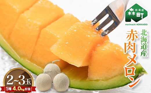 【先行予約】北海道森町産赤肉メロン2～3玉入り（1箱4kg前後）（2026年6月上旬～8月上旬頃に順次お届け）＜道産ネットミツハシ＞ 森町 メロン 果物 赤肉 北海道産 ふるさと納税 北海道 mr1-0906