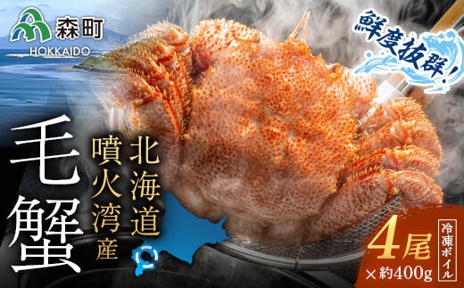 北海道・噴火湾産 冷凍ボイル毛ガニ 400g前後×4尾＜海鮮問屋 株式会社 瑞宝＞ かに カニ 蟹 ガニ がに 森町 ふるさと納税 北海道 毛蟹 毛かに 毛ガニ 毛カニ mr1-0950
