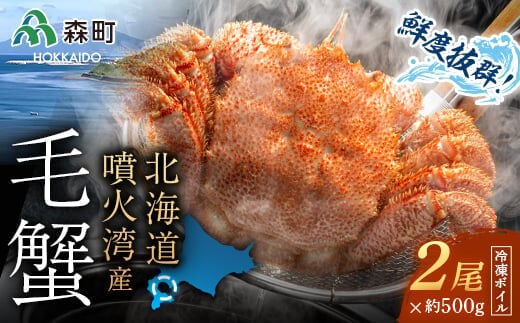 北海道・噴火湾産冷凍ボイル毛ガニ約500g前後×2尾 ＜海鮮問屋 株式会社 瑞宝＞ かに カニ 蟹 ガニ がに 森町 ふるさと納税 北海道 毛蟹 毛かに 毛ガニ 毛カニ mr1-0949