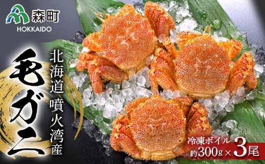 北海道産 冷凍ボイル毛ガニ 300g前後×3尾 ＜海鮮問屋 株式会社 瑞宝＞ かに カニ 蟹 ガニ がに 森町 ふるさと納税 北海道 毛蟹 毛かに 毛ガニ 毛カニ mr1-0618