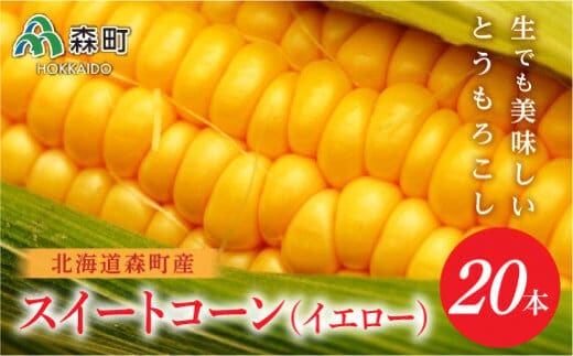 【先行予約】 【数量限定】北海道森町産スイートコーン（イエロー）20本（2026年7月上旬～9月中旬頃に順次お届け） とうもろこし トウモロコシ とうきび トウキビ 野菜 やさい 北海道 たっぷり 甘い 期間限定 ふるさと納税 森町 mr1-0146