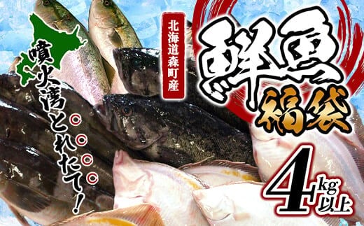 北海道森町産 噴火湾とれたて鮮魚福袋4kg以上 ＜道産ネットミツハシ＞ アブラコ（アイナメ） カレイ類 カジカ ソイ ガヤ ニシン ハタハタ フクラゲ サヨリ 福袋 鮮魚 海鮮 セット 焼き魚 煮付け 鍋 ふるさと納税 北海道 森町 mr1-0149