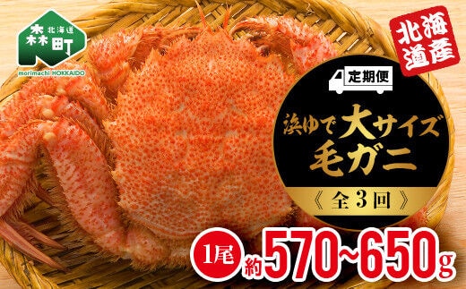 『定期便』 【北海道産】 浜ゆで毛ガニ×1尾全3回＜道産ネットミツハシ＞ 毛ガニ 毛蟹 かに カニ ふるさと納税 北海道 mr1-0355