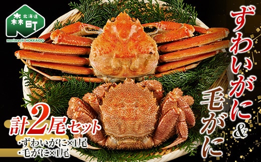 ずわいがに毛がに2尾セット 北海道森町水揚げ かに カニ 蟹 ガニ がに 森町 ふるさと納税 北海道 毛蟹 毛かに 毛ガニ 毛カニ 北海道 ズワイカニ ズワイ蟹 ズワイガニ 食べ比べ mr1-1081