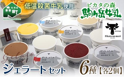 駒ヶ岳牛乳 ジェラート12個セット（各2個×6種）＜ピカタの森 駒ケ岳牛乳＞ 低温殺菌 ノンホモ牛乳 森町 洋菓子 デザート スイーツ ジェラート アイス 氷菓セット ふるさと納税 北海道 mr1-0503-1